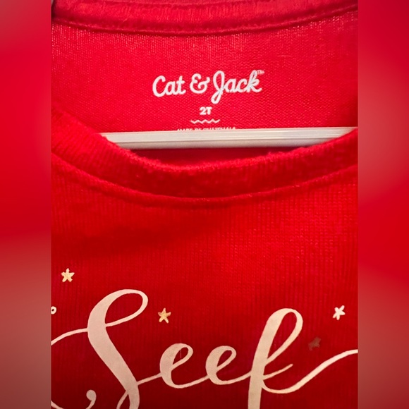 Christmas Outfit - Cat and Jack - Toddlers 2T - Picture 7 of 7